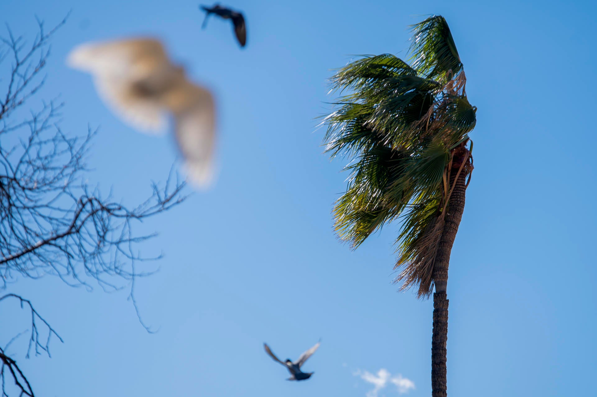 El fin de semana prenavideño trae vientos muy fuertes en Castellón y temperaturas al alza El fin de semana prenavideño trae vientos muy fuertes en Castellón y temperaturas al alza