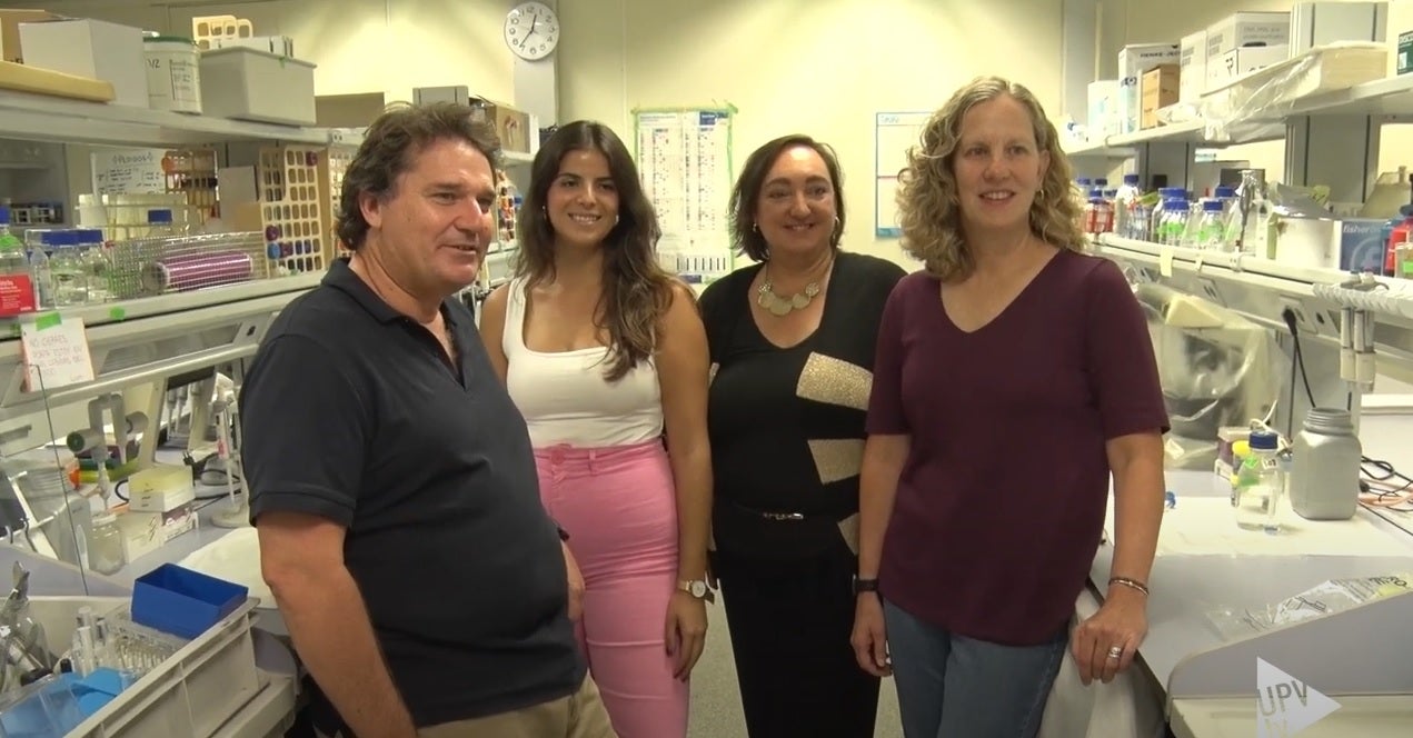 Encisams i bròcolis més resistents a la sequera Encisams i bròcolis més resistents a la sequera