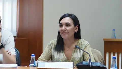 O Parlamento aproba proposta socialista para o Plan Funcional para a Praza de Abastos de Ourense O Parlamento aproba proposta socialista para o Plan Funcional para a Praza de Abastos de Ourense