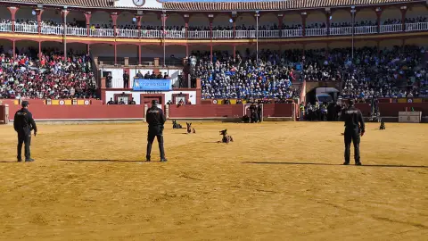 Una exhibición con perros de la Policía Nacional Una exhibición con perros de la Policía Nacional