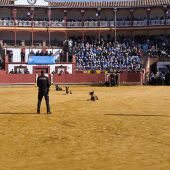 Una exhibición con perros de la Policía Nacional