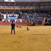 Una exhibición con perros de la Policía Nacional Una exhibición con perros de la Policía Nacional