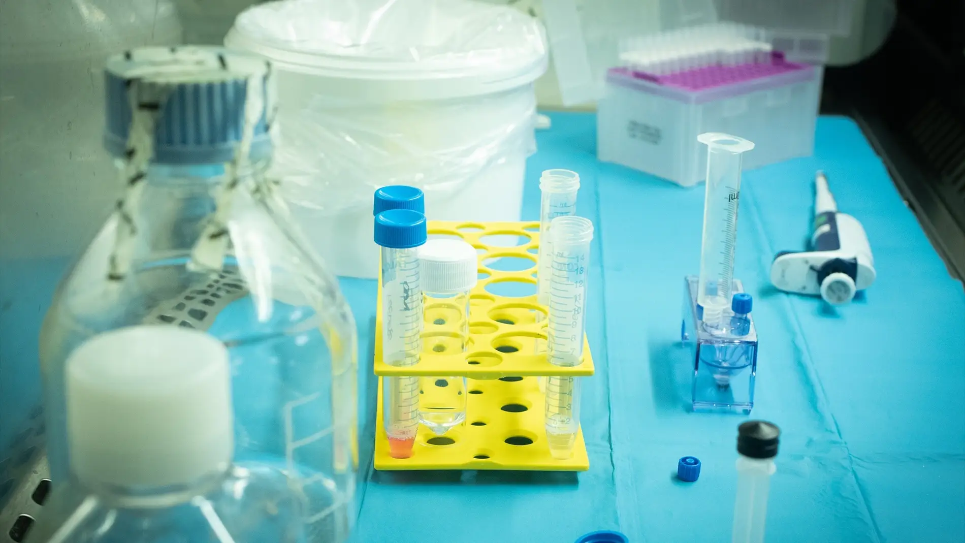 Una nueva estrategia farmacológica alarga la supervivencia en cáncer de mama metastásico en etapa precoz Una nueva estrategia farmacológica alarga la supervivencia en cáncer de mama metastásico en etapa precoz