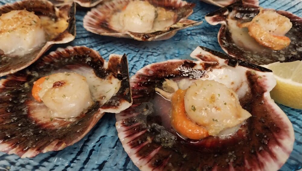 Las zamburiñas no faltan a la mesa en Galicia