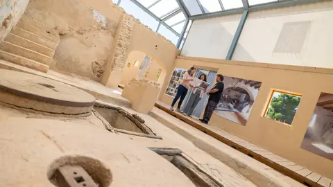 L’Alfàs presenta un programa de visitas guiadas al Molí de Mànec y a los árboles singulares de Carbonera L’Alfàs presenta un programa de visitas guiadas al Molí de Mànec y a los árboles singulares de Carbonera