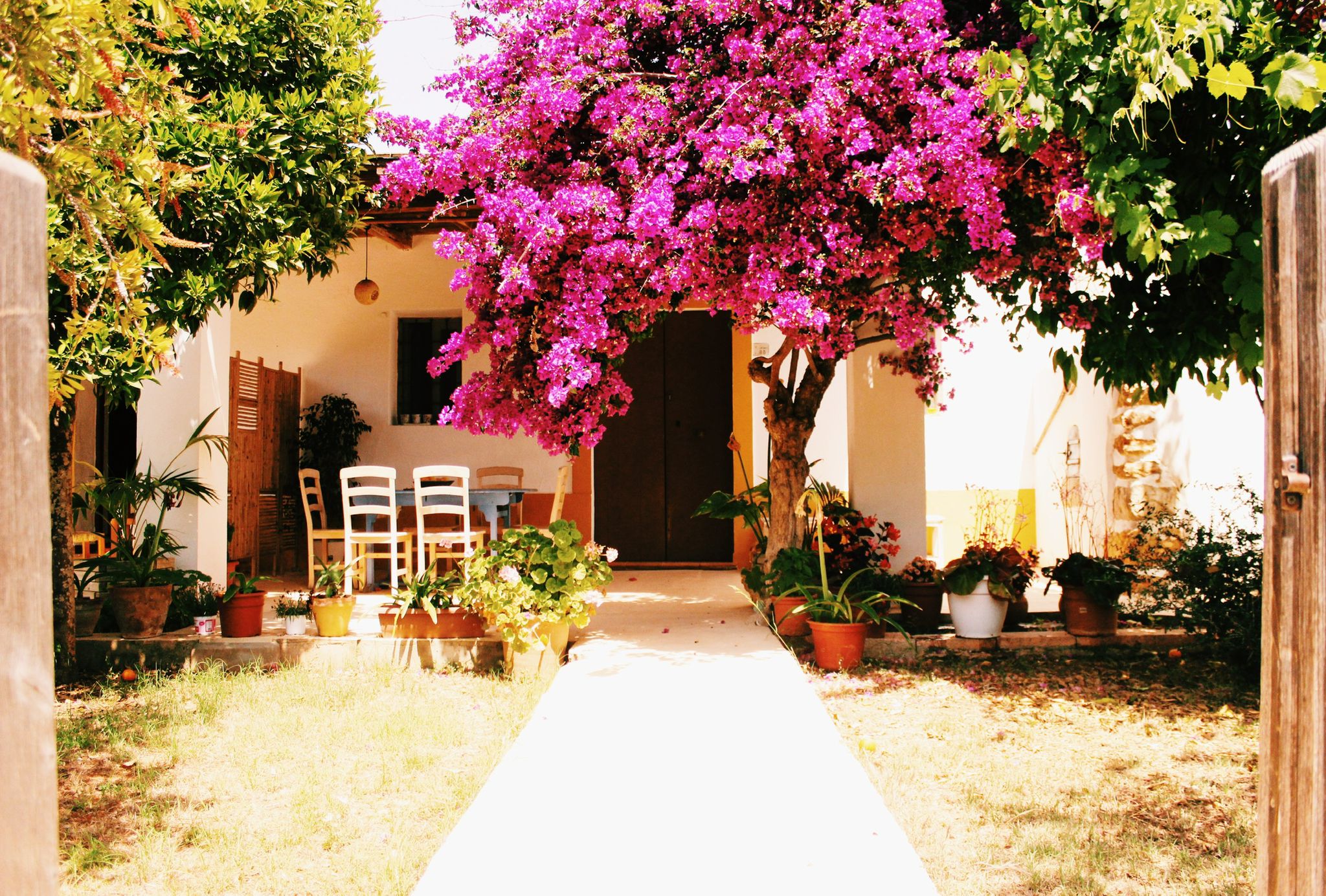 Agroturismo Casa Morna Ibiza: Un oasis de paz y sostenibilidad en la isla de Ibiza Agroturismo Casa Morna Ibiza: Un oasis de paz y sostenibilidad en la isla de Ibiza