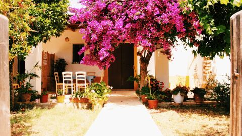 Agroturismo Casa Morna Ibiza, en el valle de Morna, en el norte de la isla de Ibiza