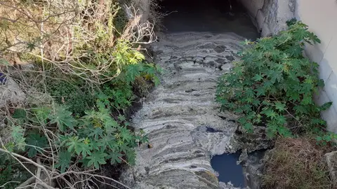 Fiscalía archiva una denuncia de GECEN por vertidos al Puerto de Castellón al no apreciar indicios de delito Fiscalía archiva una denuncia de GECEN por vertidos al Puerto de Castellón al no apreciar indicios de delito