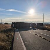 Camión accidentado en la N-420