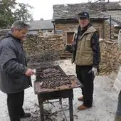 Castañada en los Pueblos Negros de Guadalajara. Castañada en los Pueblos Negros de Guadalajara.