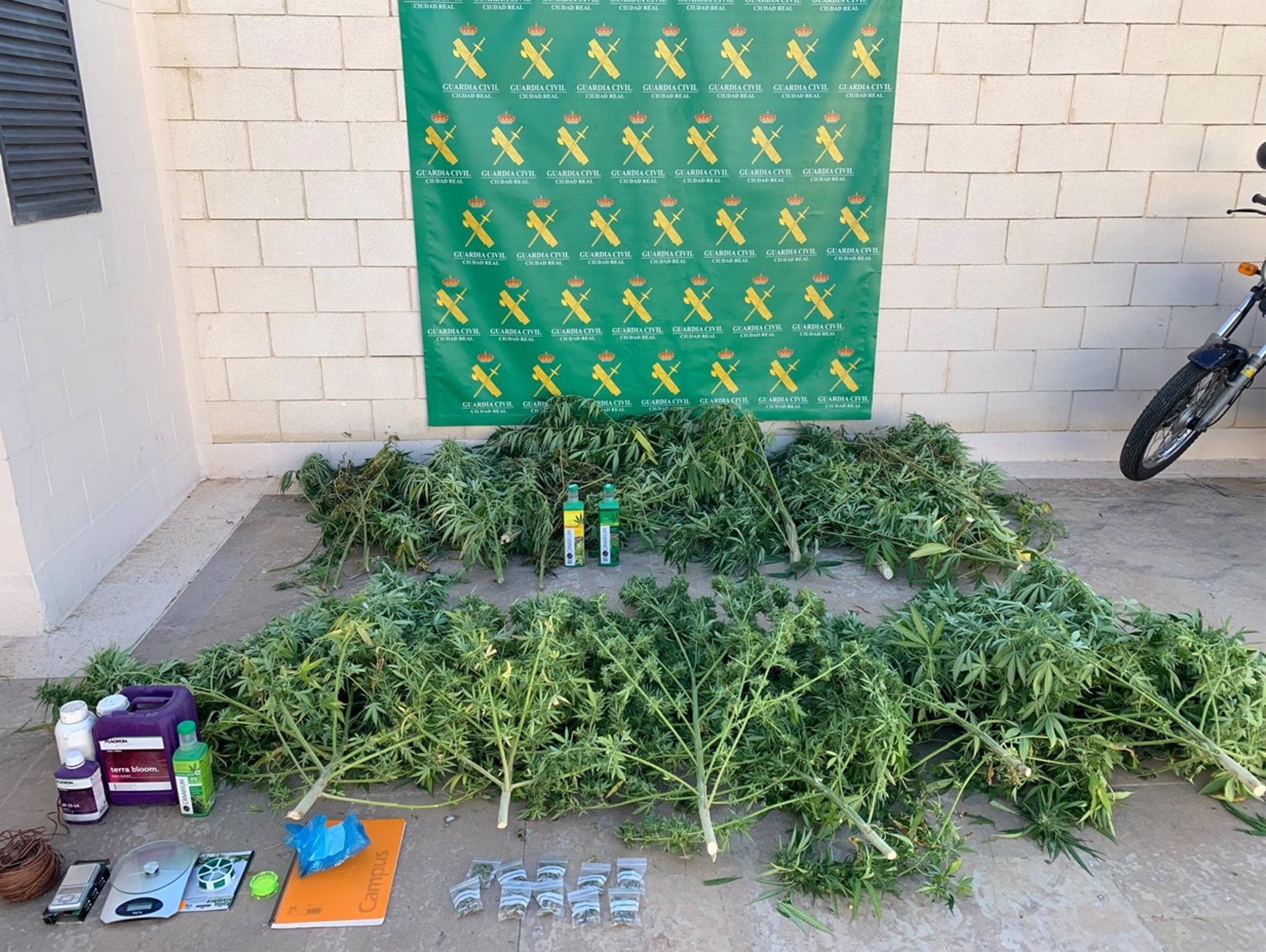 Tres detenidos y 17 kilos de marihuana incautados en Tomelloso Tres detenidos y 17 kilos de marihuana incautados en Tomelloso