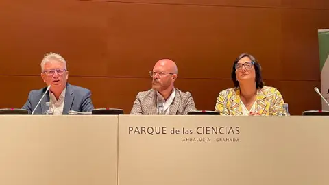 La Junta aborda la nueva Ley de Formación Profesional con más de 450 profesionales La Junta aborda la nueva Ley de Formación Profesional con más de 450 profesionales