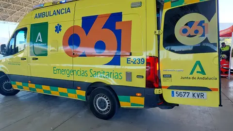 Hombre muere tras caer de un tejado a ocho metros en Chauchina Hombre muere tras caer de un tejado a ocho metros en Chauchina