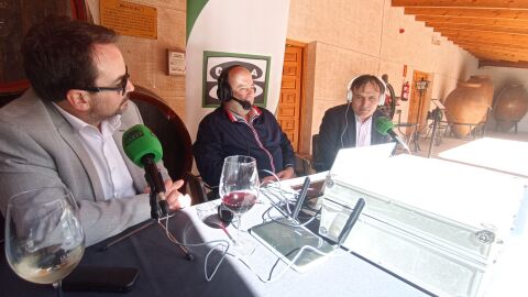 "Revent&oacute;n Fiesta de Vendimia en la D O"