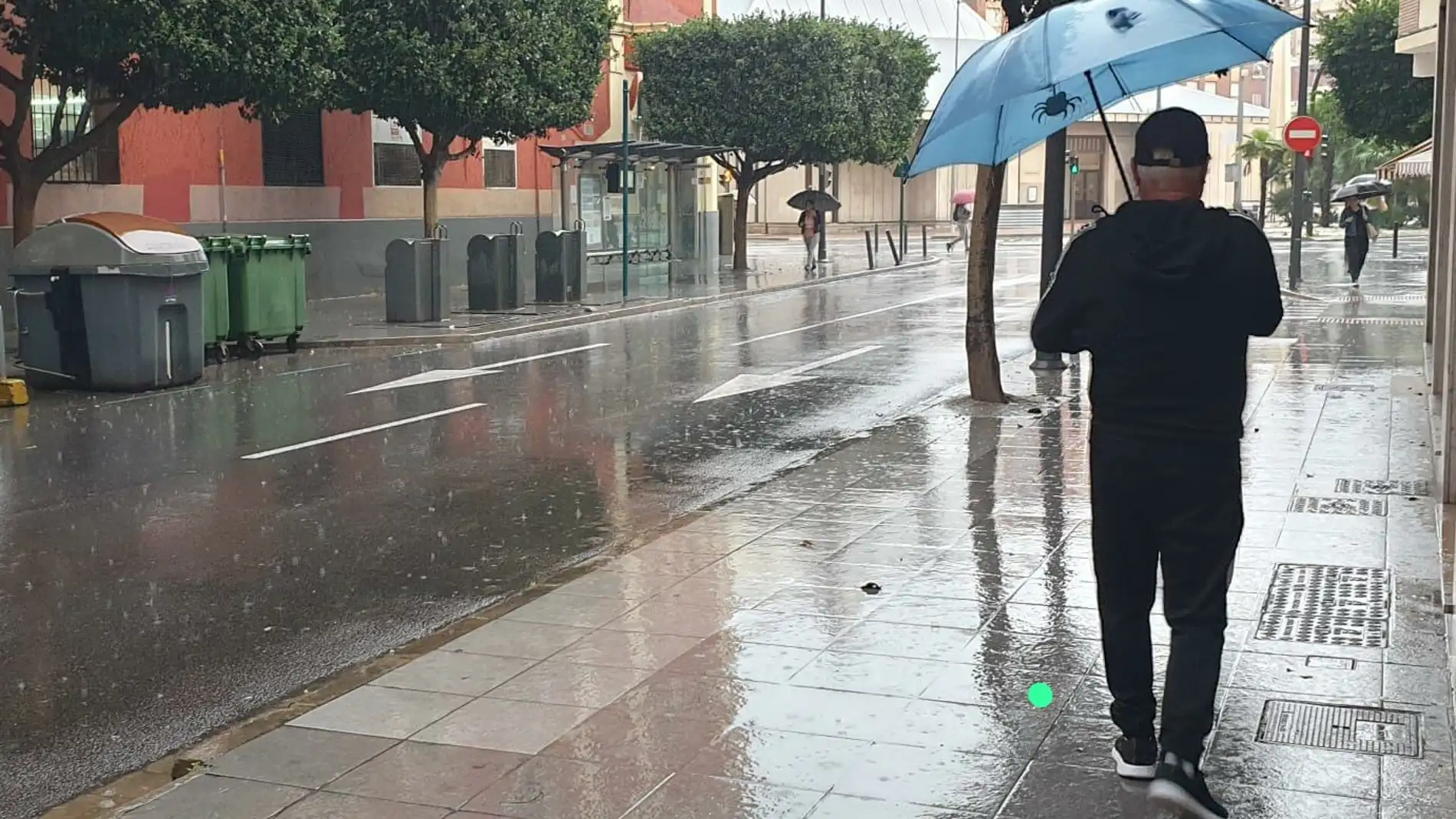 Las lluvias dejan 48 litros en Torrenostra y dan alivio a los acuíferos Las lluvias dejan 48 litros en Torrenostra y dan alivio a los acuíferos