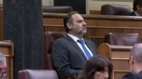 El diputado y exministro, Jos&eacute; Luis &Aacute;balos