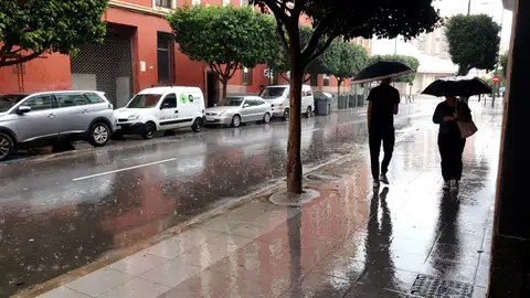 Las lluvias dejan 48 litros en Torrenostra y dan alivio a los acuíferos Las lluvias dejan 48 litros en Torrenostra y dan alivio a los acuíferos