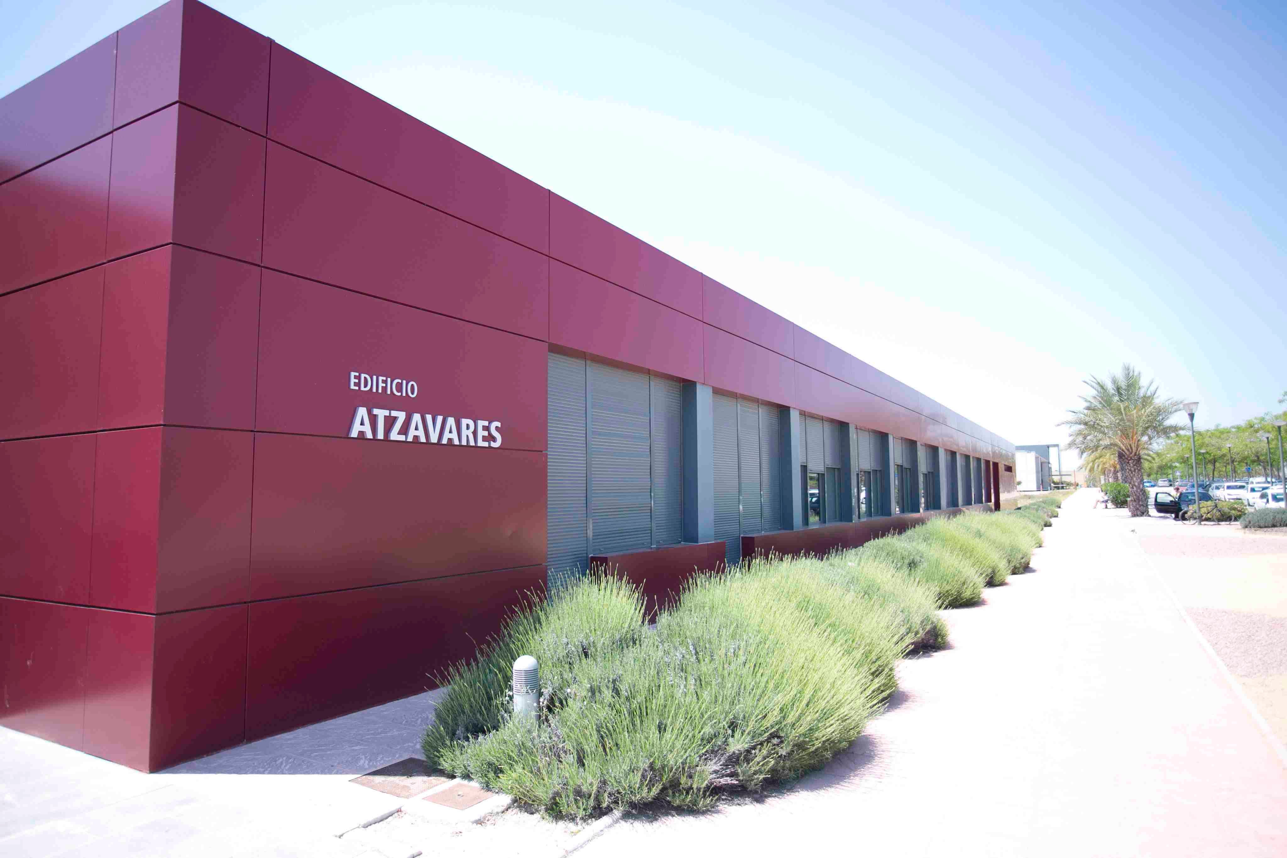 La Cátedra Gudie Lawaetz de la UMH monta un autocine en el campus de Elche La Cátedra Gudie Lawaetz de la UMH monta un autocine en el campus de Elche