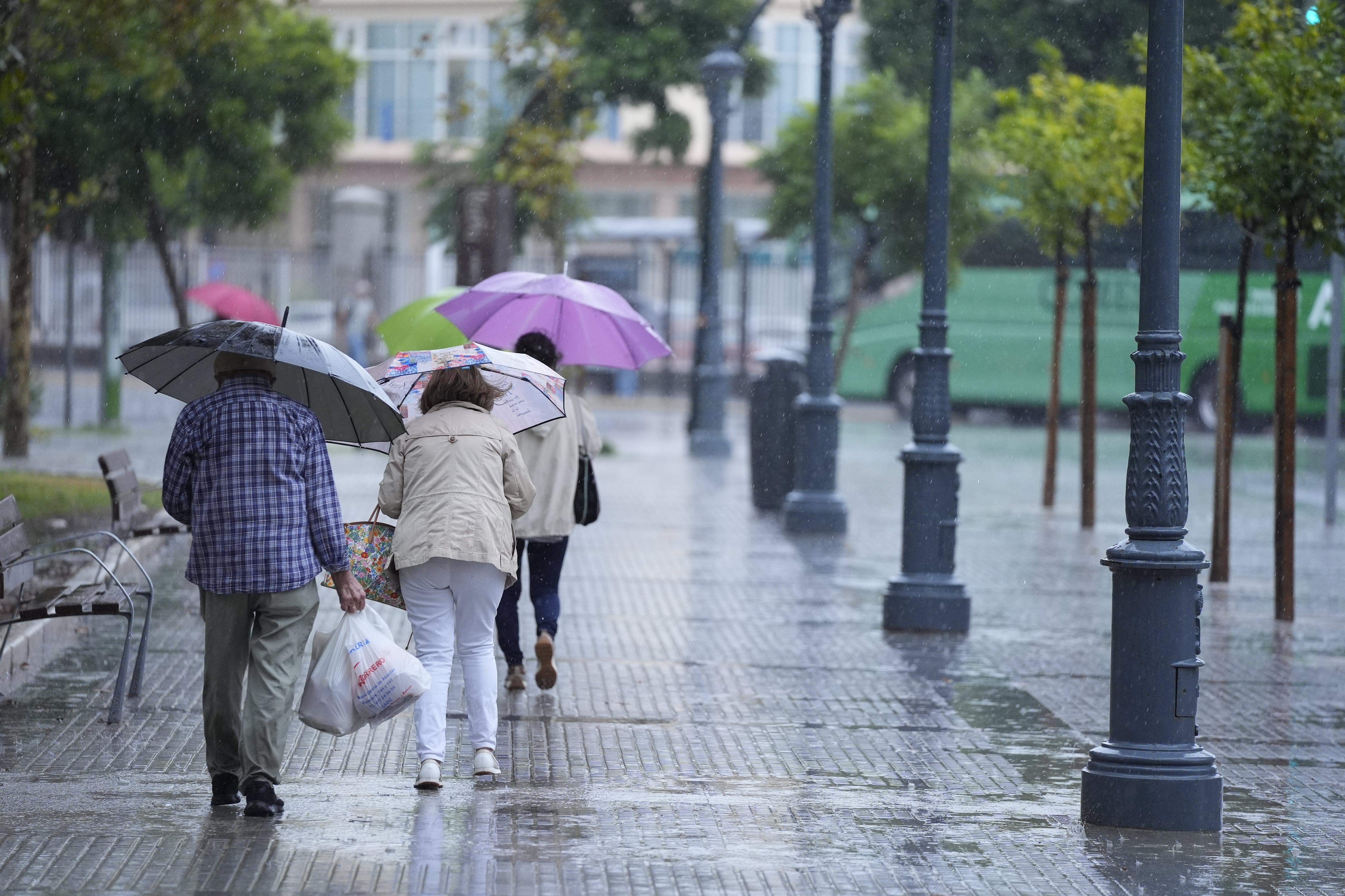 Adiós al calor con fuertes lluvias y tormentas: estas son las zonas afectadas Adiós al calor con fuertes lluvias y tormentas: estas son las zonas afectadas