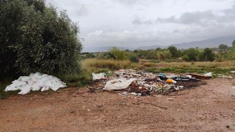 Acumulaci&oacute;n de basura en un punto del cauce del R&iacute;o Palancia a su paso por Sagunto