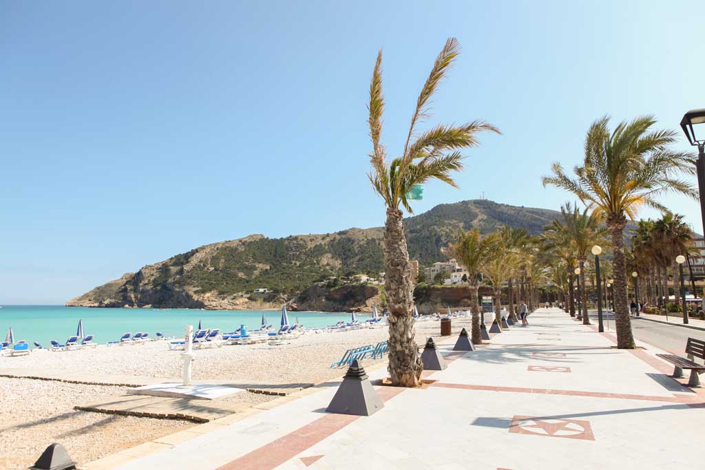 L'Alfàs del Pi acoge la feria ecológica 'Albir orgánic' L'Alfàs del Pi acoge la feria ecológica 'Albir orgánic'