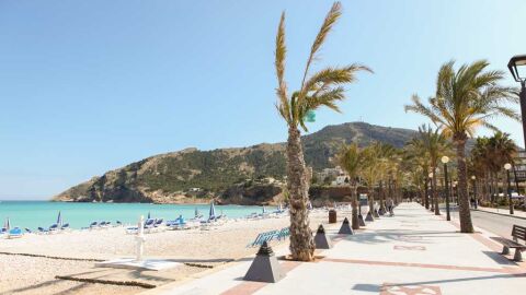 La playa rac&oacute; de l'Albir acoge la feria ecol&oacute;gica 'Albir org&agrave;nic'.