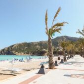 La playa racó de l'Albir acoge la feria ecológica 'Albir orgànic'.