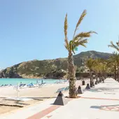 La playa racó de l'Albir acoge la feria ecológica 'Albir orgànic'. La playa racó de l'Albir acoge la feria ecológica 'Albir orgànic'.