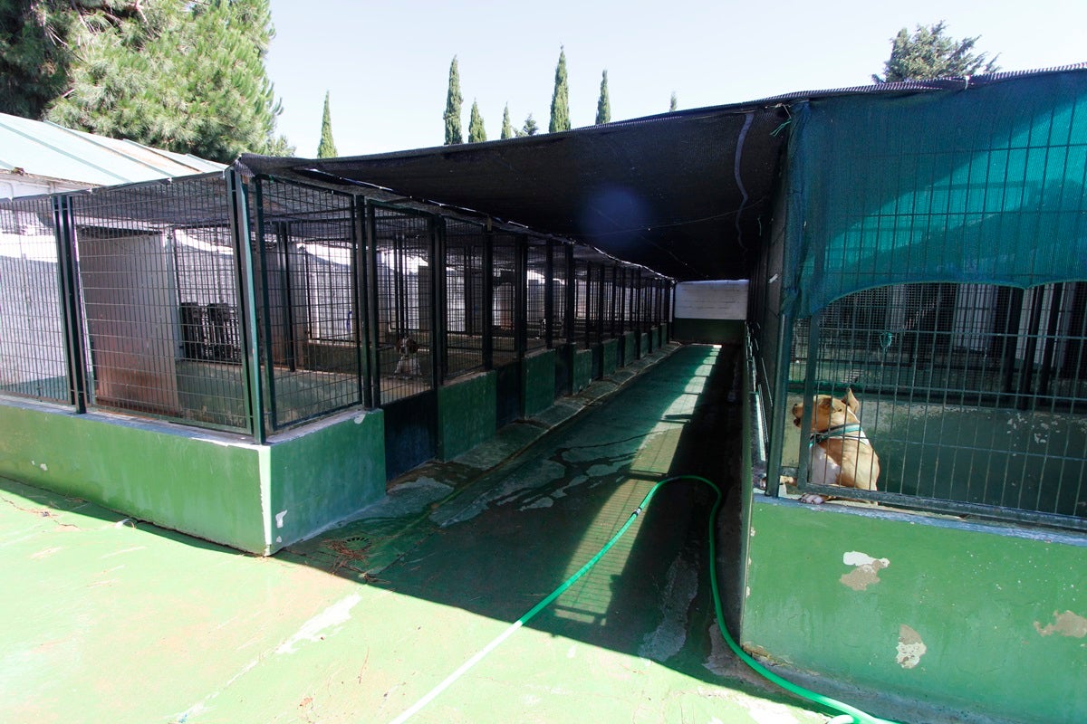 Licitado el suministro de alimentos y material al Centro de Protección y la Unidad Canina de la Policía Local de Mérida Licitado el suministro de alimentos y material al Centro de Protección y la Unidad Canina de la Policía Local de Mérida