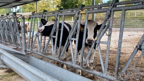 Granja docente de la Facultad de Veterinaria
