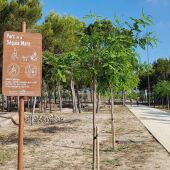 Benidorm combatirá el calor en meses estivales con el incremento de arbolado en sus parques y vías públicas