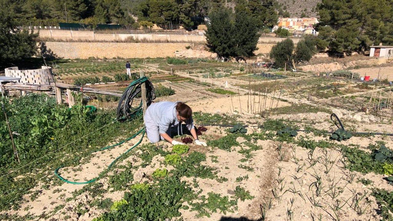 Jornadas formativas sobre agricultura y emprendimiento rural en Polop y Confrides Jornadas formativas sobre agricultura y emprendimiento rural en Polop y Confrides