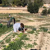 Huerto Polop de la Marina Huerto Polop de la Marina