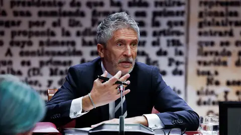 El ministro del Interior, Fernando Grande-Marlaska, comparece en la comisión que investiga el caso Koldo en el Senado Marlaska dice nunca se reunió con Koldo o Aldama y asegura que jamás sospechó de Ábalos