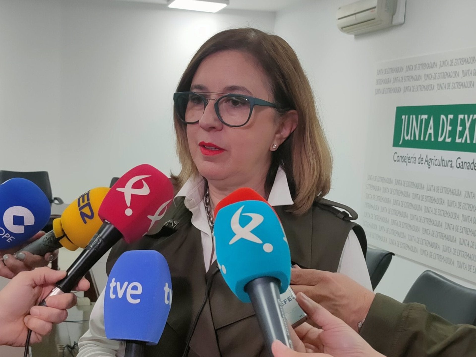 La Junta defiende que ha actuado "con agilidad" ante la lengua azul y que no se escatimará recursos para adquirir vacunas La Junta defiende que ha actuado "con agilidad" ante la lengua azul y que no se escatimará recursos para adquirir vacunas