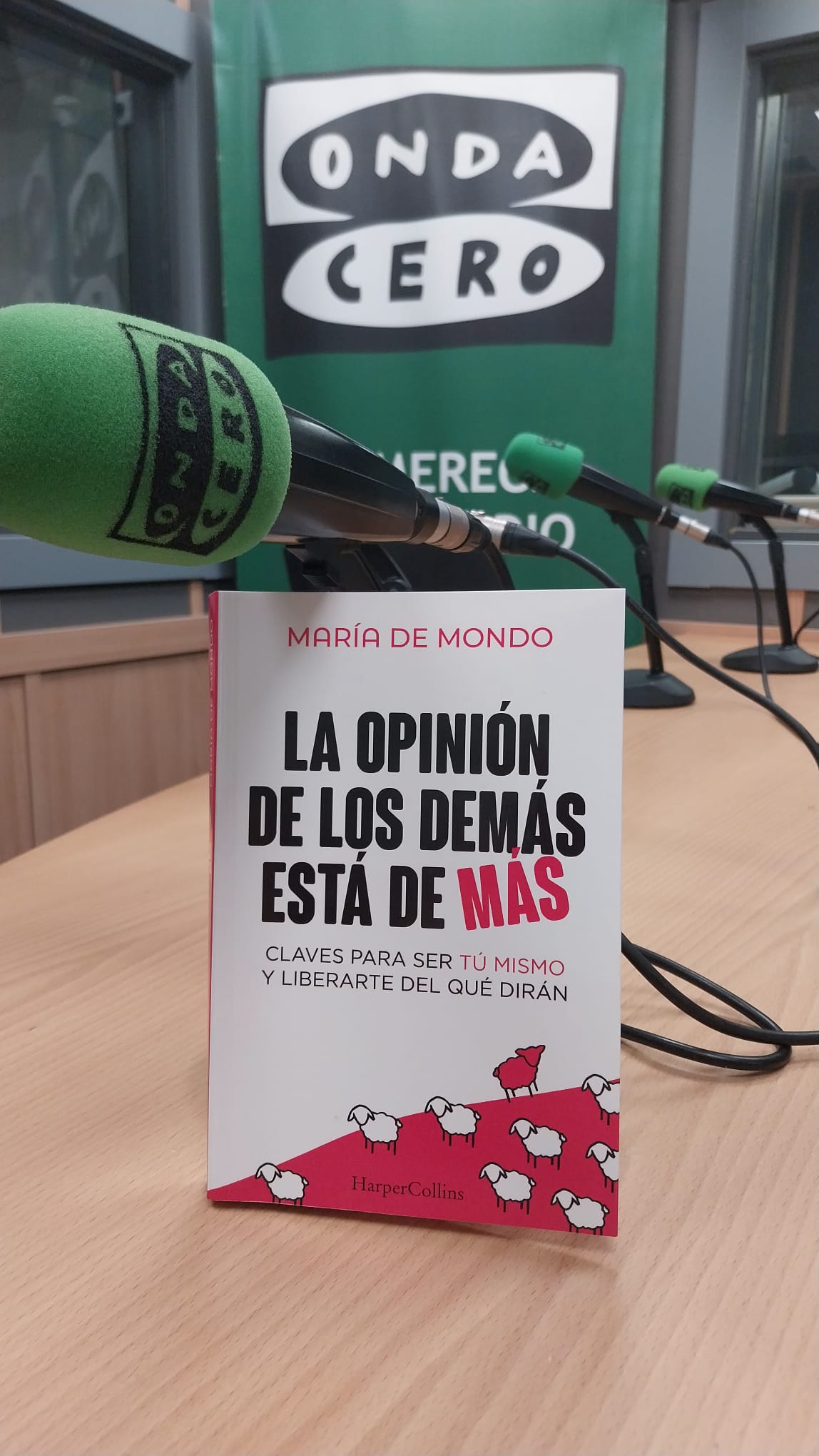 "La opinión de los demás, está de más", último libro de María de Mondo "La opinión de los demás, está de más", último libro de María de Mondo