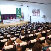 Expertos de todo el país debaten sobre aspectos jurídicos de la contención en pacientes ingresados en residencias y hospitales