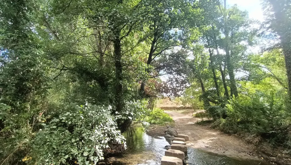Uno de los bellos parajes de La Nava. Uno de los bellos parajes de La Nava.
