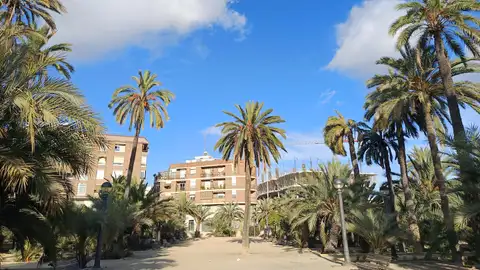 Elche. Elche.
