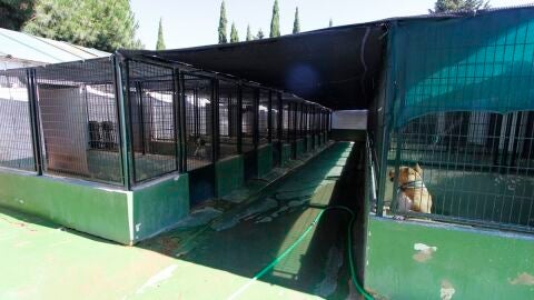 Centro zoosanitario M&eacute;rida