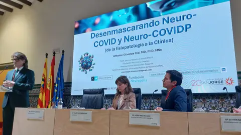 Imagen de una de las mesas durante la jornada dedicada al Long Covid Imagen de una de las mesas durante la jornada dedicada al Long Covid