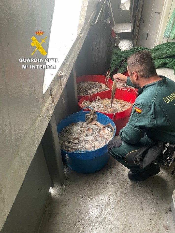 Incautados 220 kilos de pulpo inmaduro que llevaba una embarcación en el puerto de Burriana Incautados 220 kilos de pulpo inmaduro que llevaba una embarcación en el puerto de Burriana