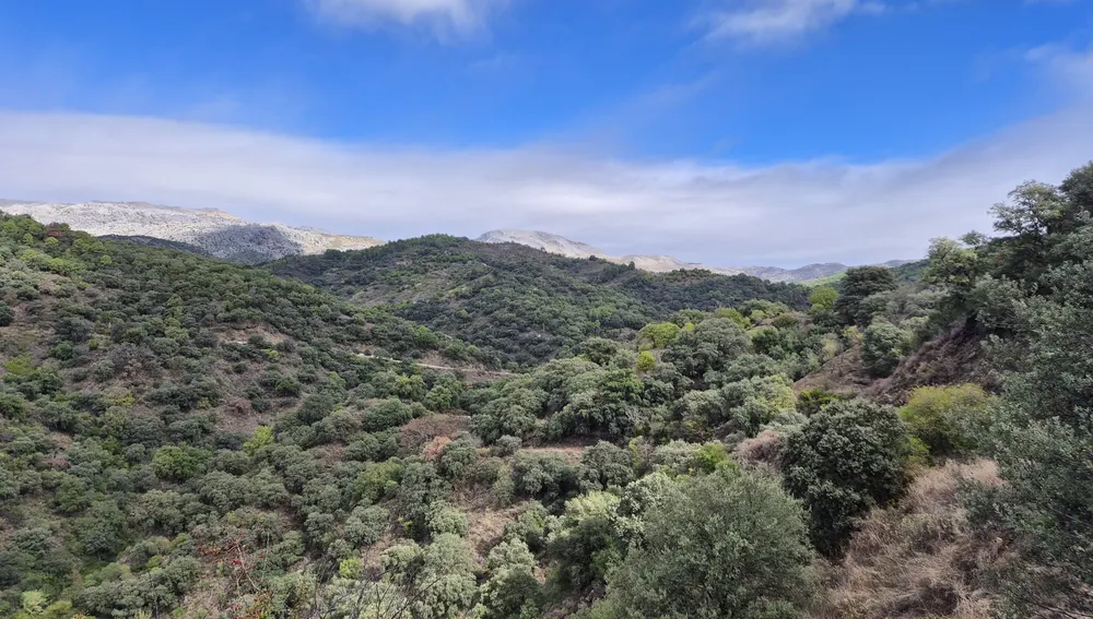 Imagen de la Serranía de Ronda en el Valle del Genil Imagen de la Serranía de Ronda en el Valle del Genil