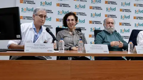 Javier Marta, jefe de Neurología vascular del Miguel Servet, junto a Elena Muñoz, presidenta de SARAN, Miguel Lierta, presidente de AIDA, y Marta Mañeru, logopeda de AIDA, en una rueda de prensa por el Día Mundial del Ictus Javier Marta, jefe de Neurología vascular del Miguel Servet, junto a Elena Muñoz, presidenta de SARAN, Miguel Lierta, presidente de AIDA, y Marta Mañeru, logopeda de AIDA, en una rueda de prensa por el Día Mundial del Ictus