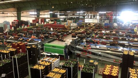 Hortalizas de Almer&iacute;a