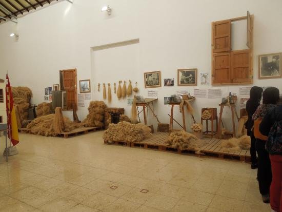 El I Congreso Nacional del Cáñamo impulsa a Callosa de Segura como uno de los principales productores del país El I Congreso Nacional del Cáñamo impulsa a Callosa de Segura como uno de los principales productores del país