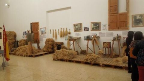 Museo del c&aacute;&ntilde;amo de Callosa de Segura