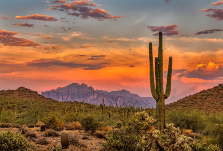 Qué debes saber sobre Arizona, el estado clave en las elecciones de Estados Unidos Qué debes saber sobre Arizona, el estado clave en las elecciones de Estados Unidos