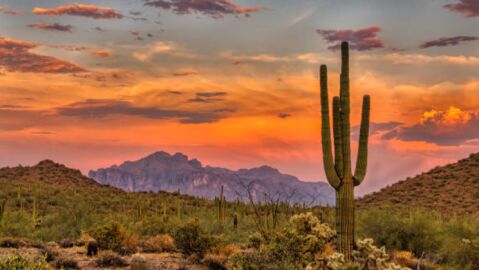 Qu&eacute; debes saber sobre Arizona, el estado clave en las elecciones de Estados Unidos