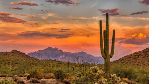 Qué debes saber sobre Arizona, el estado clave en las elecciones de Estados Unidos Qué debes saber sobre Arizona, el estado clave en las elecciones de Estados Unidos